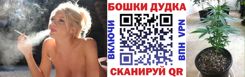 Шишки марихуана White Widow Будённовск
